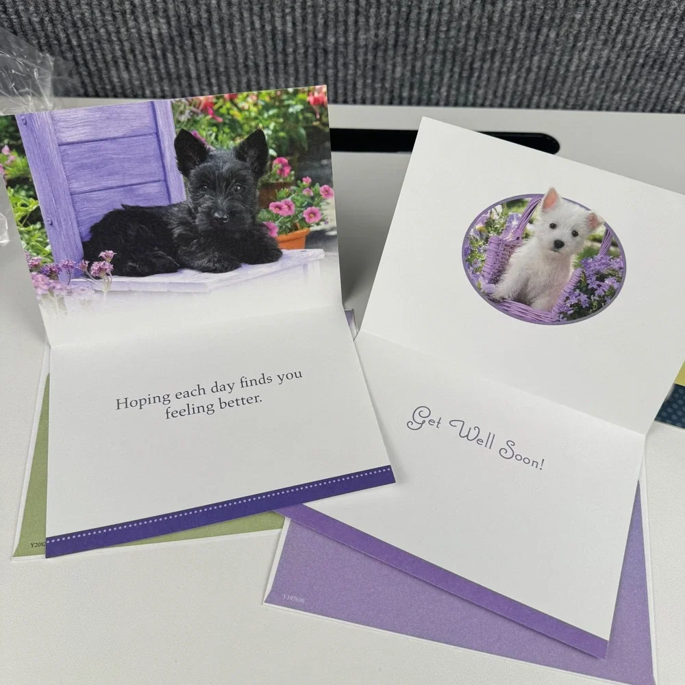 Jane Burton Puppy Get Well Soon Greeting‎ Cards Set of 3 with Envelopes USA Made